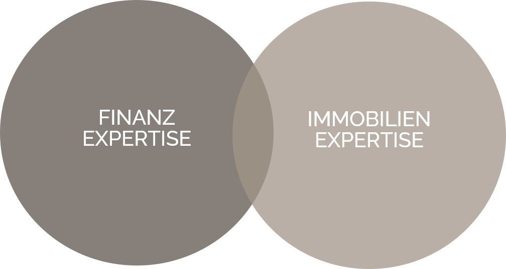 Infografik zum Investmentansatz von German Partners